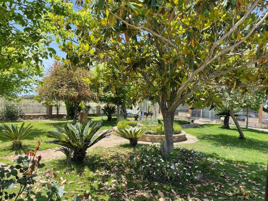 Mama'S Sunshine Garden Villa Agios Ilias  Экстерьер фото