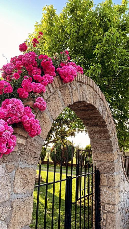 Mama'S Sunshine Garden Villa Agios Ilias  Экстерьер фото