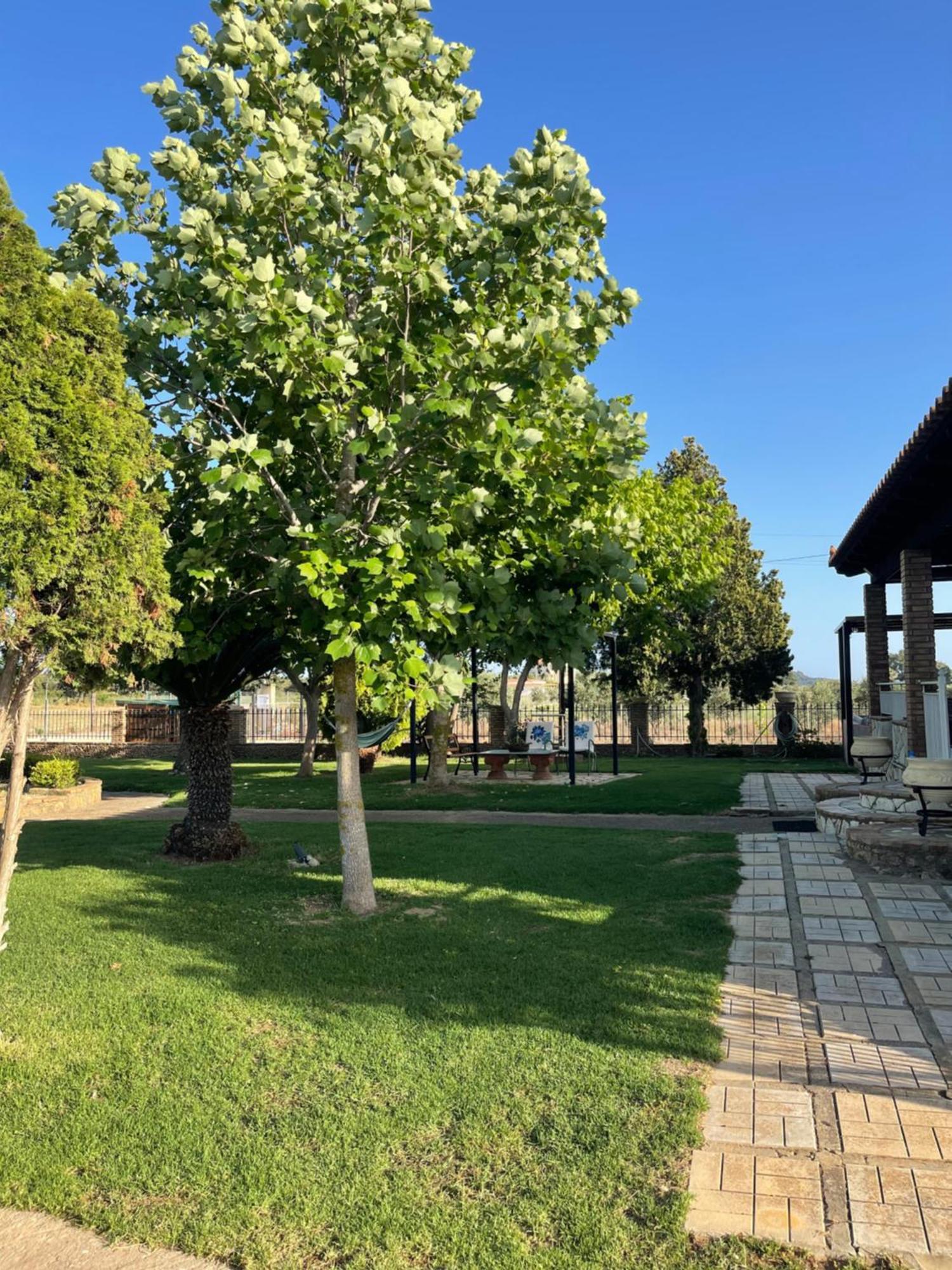 Mama'S Sunshine Garden Villa Agios Ilias  Экстерьер фото